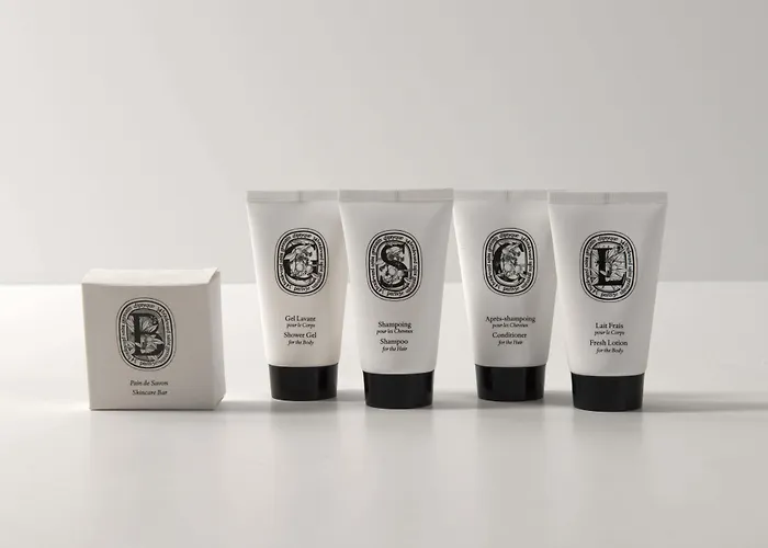 Ξενοδοχείο De Berri Champs-elysees, A Luxury Collection Παρίσι